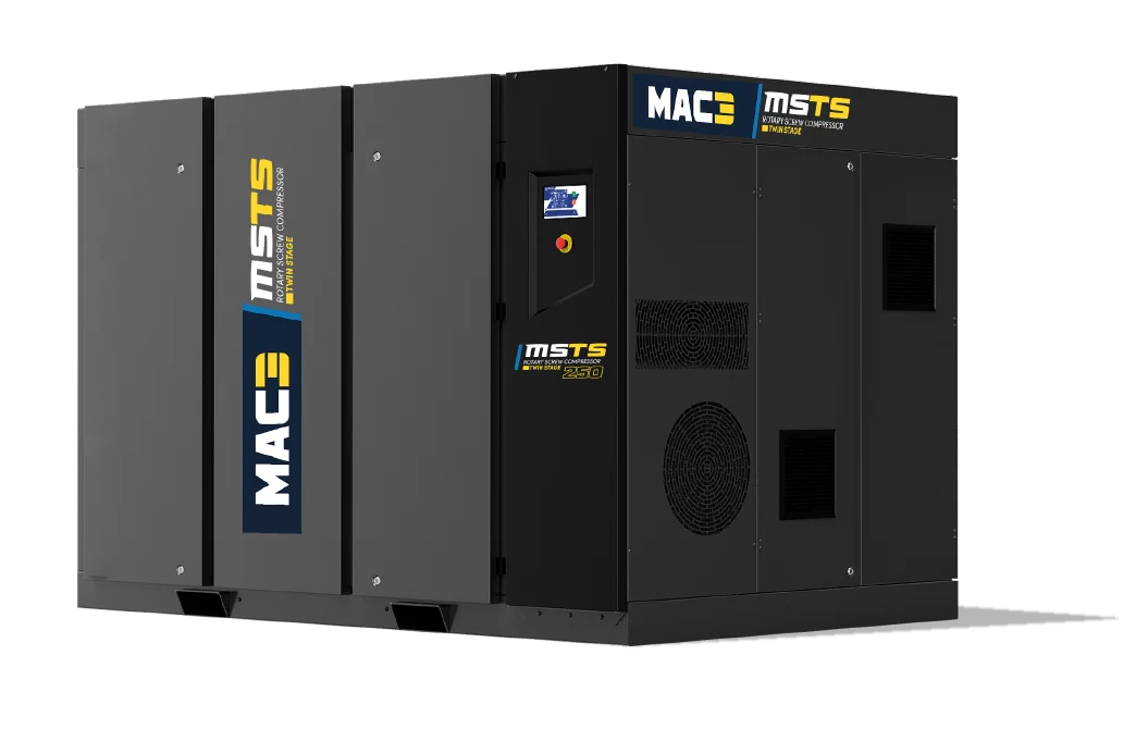MSTS 01.png
