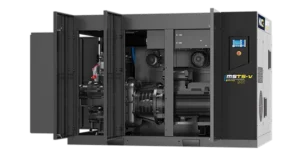 MSTS V 2.png