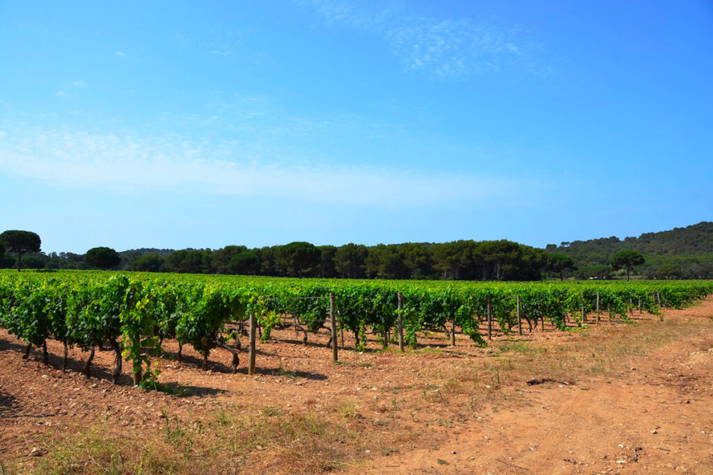 SE2M industrie fournisseur d'énergie pour l'agriculture - Location groupe électrogène pour l'agriculture